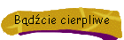 Bdcie cierpliwe